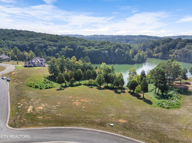 Listing photo 3 for 181 Bulwark Way, Lenoir City TN 37772