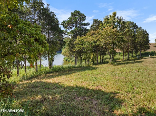 181 Bulwark Way, Lenoir City, TN 37772