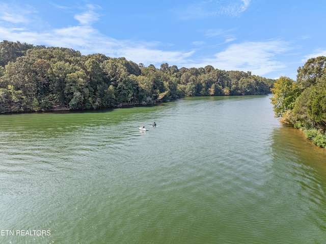 181 Bulwark Way, Lenoir City, TN 37772