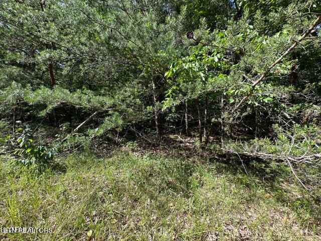 Flats Rd, Tallassee TN, 37878 land for sale