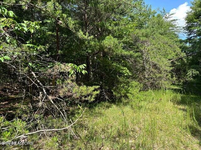 Listing photo 2 for Flats Rd, Tallassee TN 37878