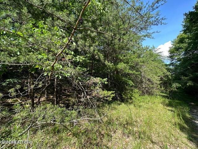 Listing photo 3 for Flats Rd, Tallassee TN 37878