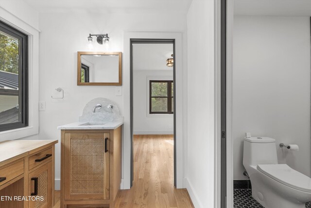 bathroom featuring vanity, wood-type flooring, and toilet