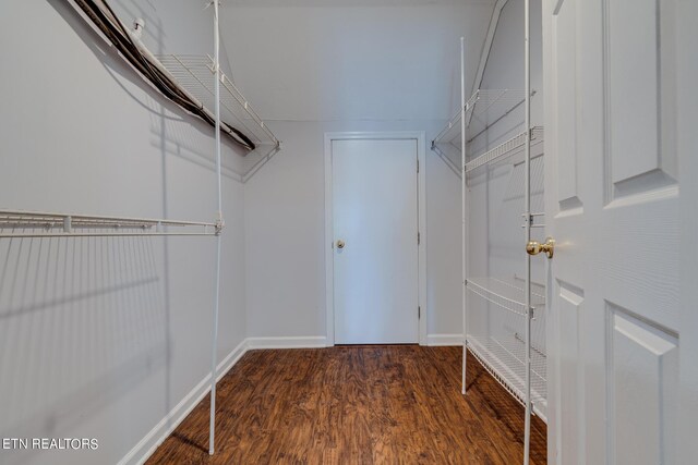 walk in closet featuring dark hardwood / wood-style floors