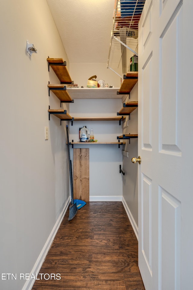 walk in closet featuring dark hardwood / wood-style floors