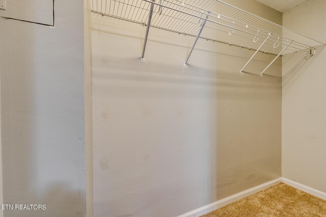 spacious closet with carpet