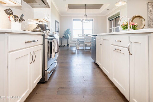 kitchen featuring a raised ceiling, decorative light fixtures, appliances with stainless steel finishes, dark wood-type flooring, and white cabinets