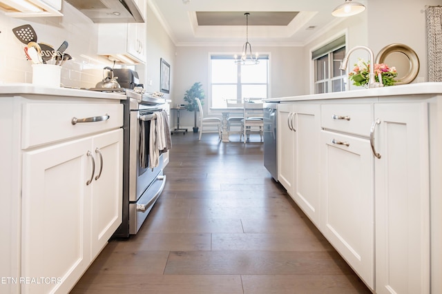 275 Hummingbird Dr, Vonore, TN 37885 - kitchen with dark wood-type flooring, under cabinet range hood, a tray ceiling, decorative backsplash, and white cabinetry