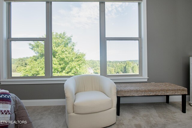 sitting room with carpet