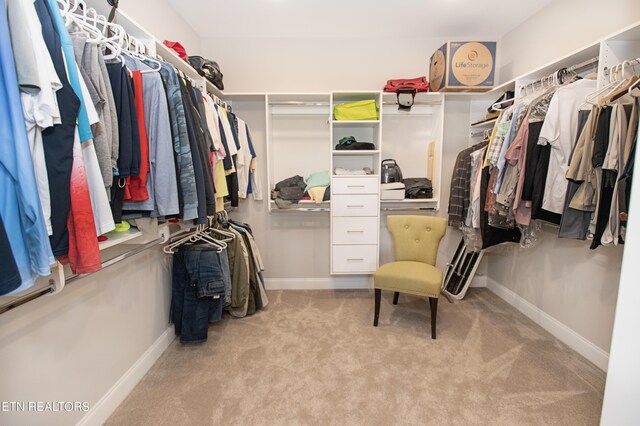 spacious closet with light carpet