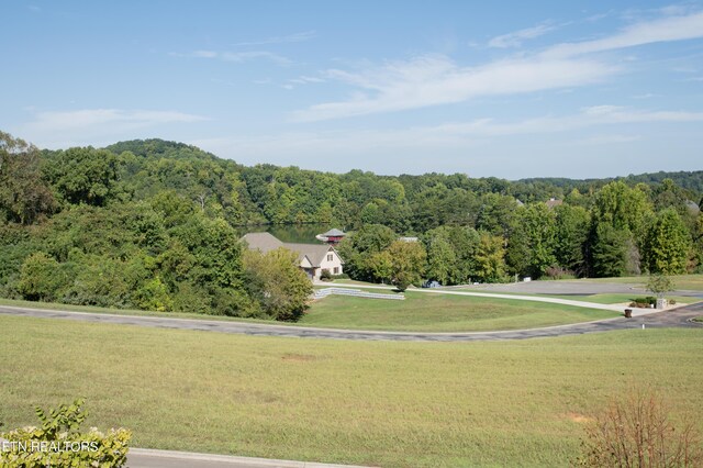 view of home's community with a lawn