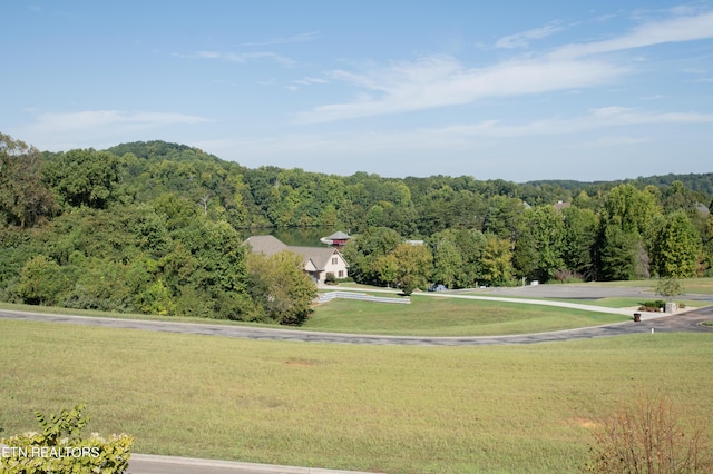 275 Hummingbird Dr, Vonore, TN 37885 - view of property's community featuring a view of trees and a lawn