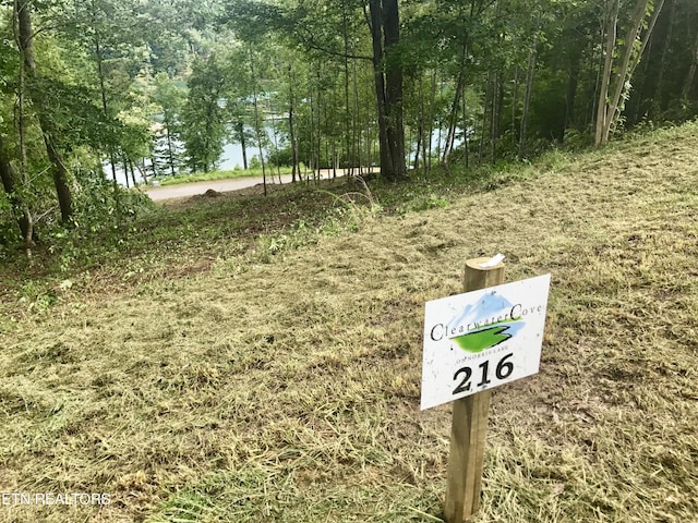 TBD Suncrest Cv Lot 216, Lafollette TN, 37766 land for sale