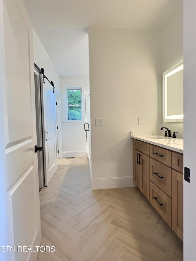 bathroom with vanity, parquet floors, and a shower with door