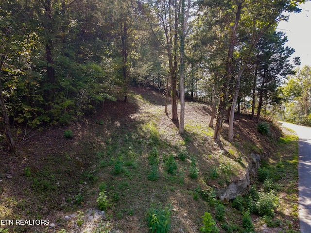 LOT87 Harbor Pointe Dr, Silver Point TN, 38582 land for sale