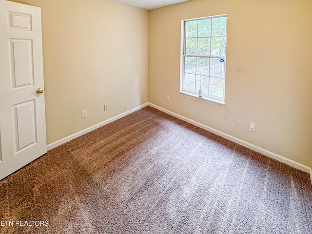 carpeted empty room featuring a wealth of natural light and baseboards