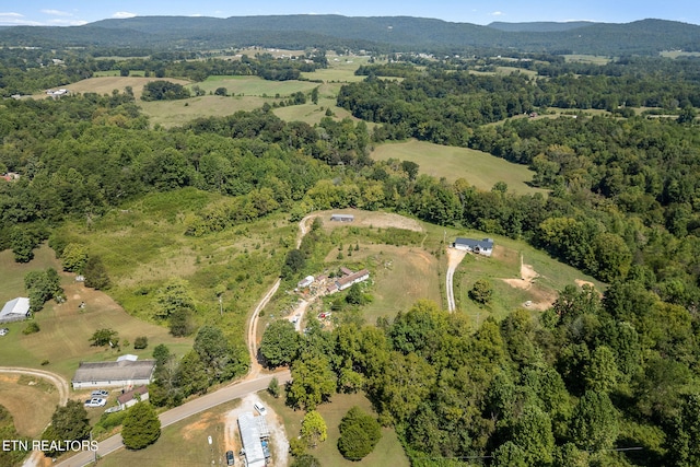 drone / aerial view featuring a mountain view