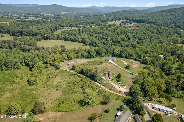 bird's eye view featuring a mountain view