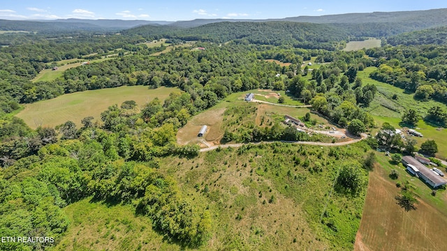 bird's eye view with a mountain view