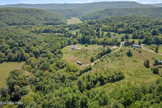 bird's eye view with a mountain view