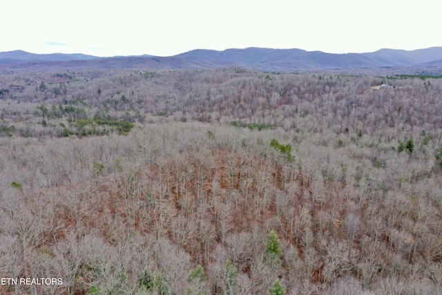 Coal Hill Rd, Sunbright TN, 37872 land for sale