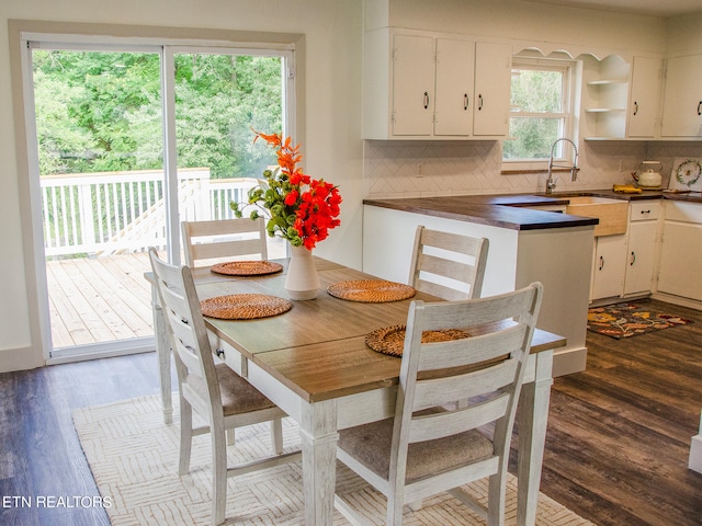 dining space featuring a healthy amount of sunlight, dark hardwood / wood-style floors, and sink