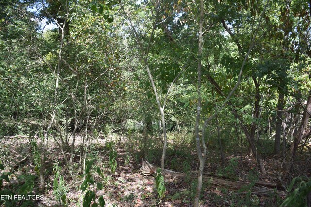 1758 N Wilkerson Rd, Knoxville, TN 37922 - photo 3