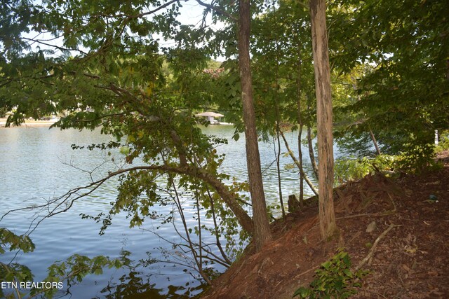 1758 N Wilkerson Rd, Knoxville, TN 37922 - photo 4