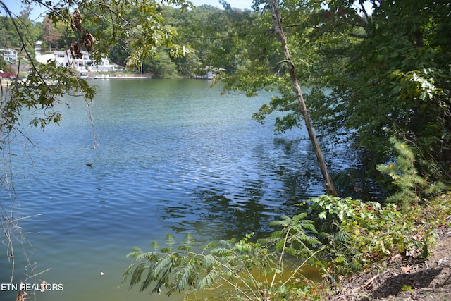 1758 N Wilkerson Rd, Knoxville, TN 37922 - photo 1