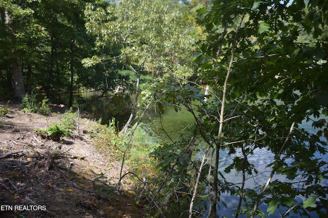 1758 N Wilkerson Rd, Knoxville, TN 37922 - photo 5