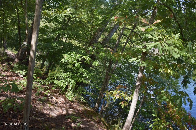 1758 N Wilkerson Rd, Knoxville, TN 37922 - photo 6