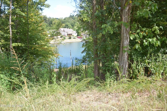 1758 N Wilkerson Rd, Knoxville, TN 37922 - photo 8