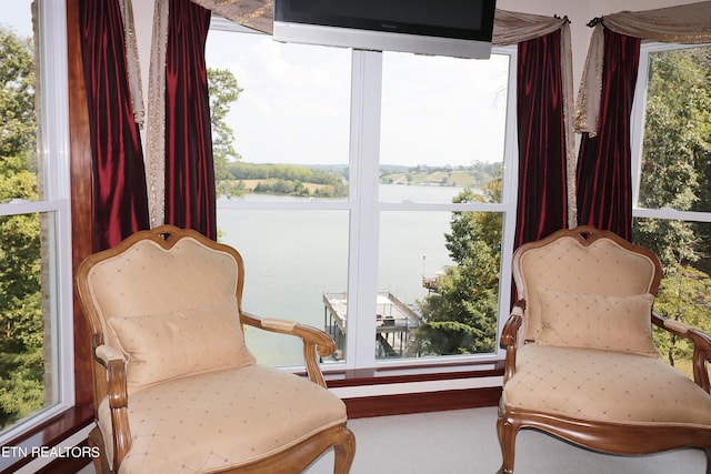 living area featuring a water view, a wealth of natural light, and carpet floors