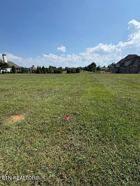 3771 Edgewater Way, Louisville, TN 37777 - photo 3
