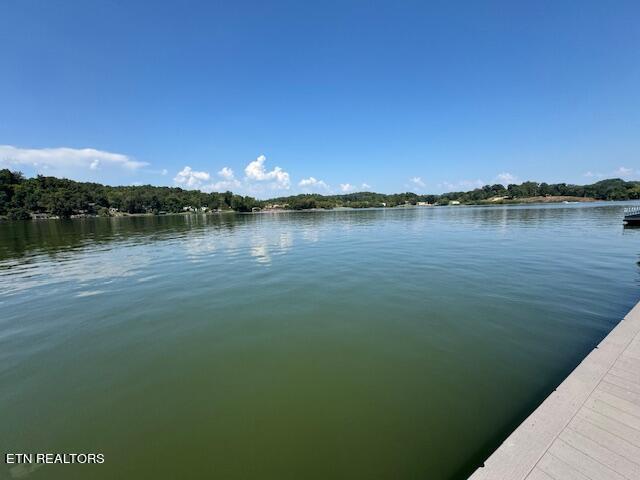 3771 Edgewater Way, Louisville, TN 37777 - photo 12
