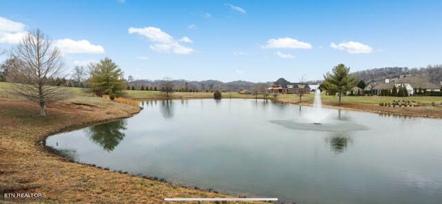 3771 Edgewater Way, Louisville, TN 37777 - photo 5