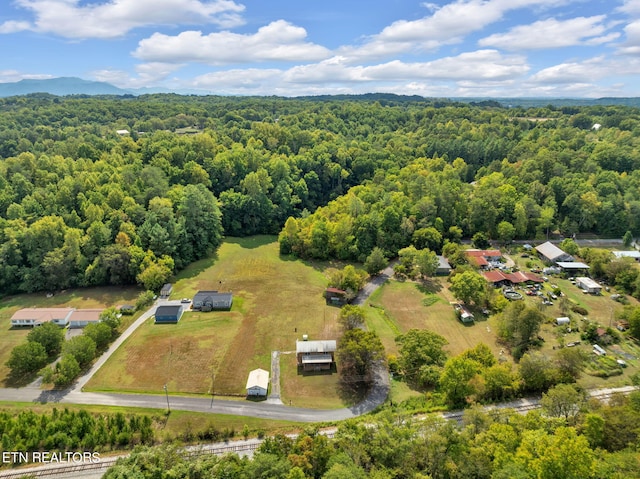 birds eye view of property featuring a mountain view and a wooded view