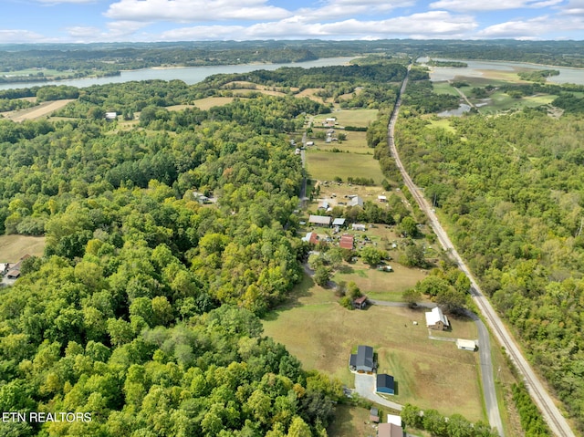 bird's eye view featuring a water view and a forest view