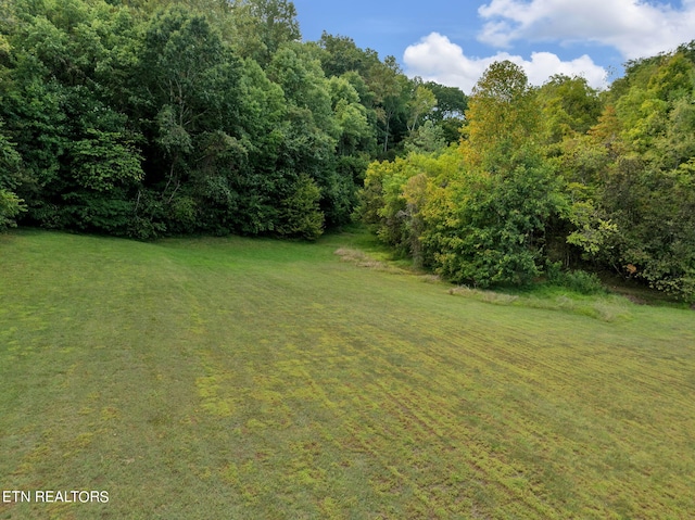 view of yard with a view of trees