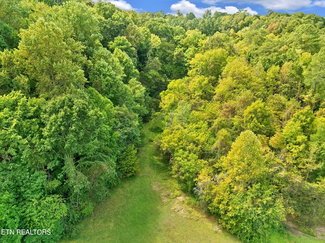 bird's eye view with a wooded view