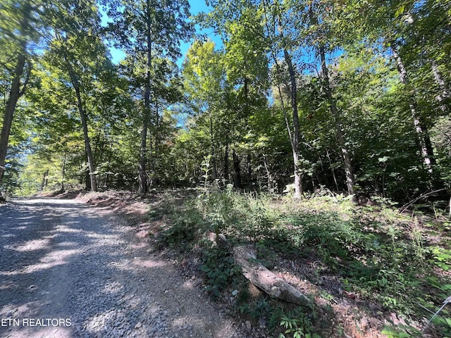 Listing photo 2 for Little Sycamore Rd, Tazewell TN 37879