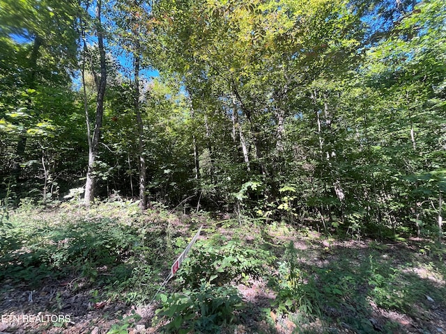 Listing photo 3 for Little Sycamore Rd, Tazewell TN 37879