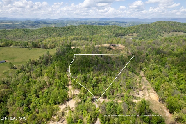 Little Sycamore Rd, Tazewell, TN 37879 - photo 1