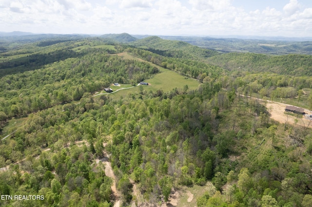 Little Sycamore Rd, Tazewell, TN 37879 - photo 20