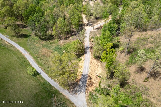 Little Sycamore Rd, Tazewell, TN 37879 - photo 21