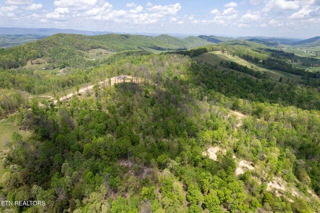 Little Sycamore Rd, Tazewell, TN 37879 - photo 22