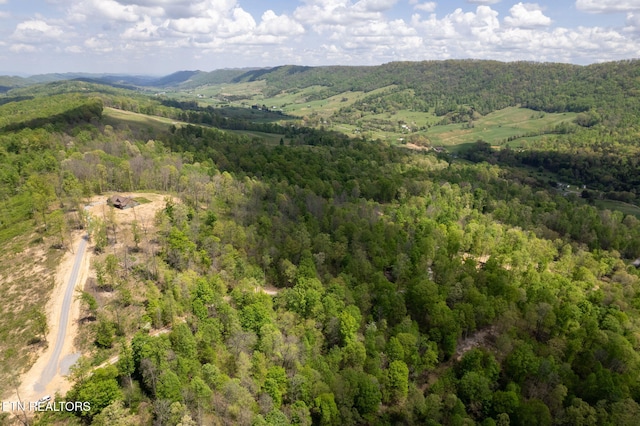 Little Sycamore Rd, Tazewell, TN 37879 - photo 23