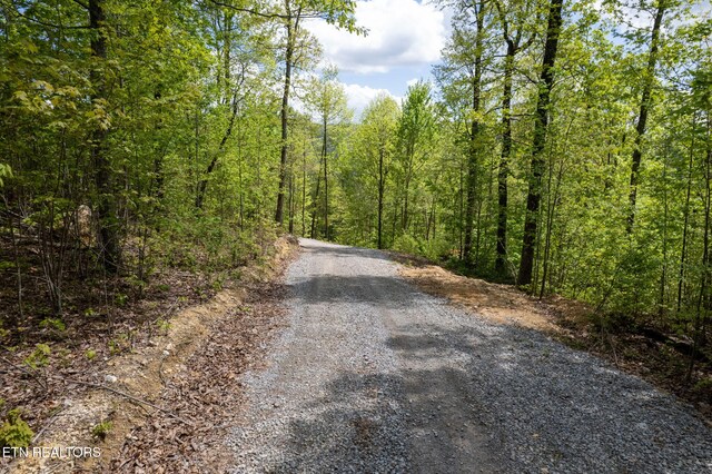 Little Sycamore Rd, Tazewell, TN 37879 - photo 18