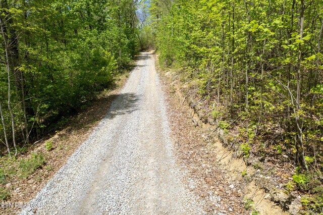 Little Sycamore Rd, Tazewell, TN 37879 - photo 19