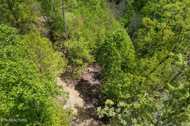 Little Sycamore Rd, Tazewell, TN 37879 - photo 24